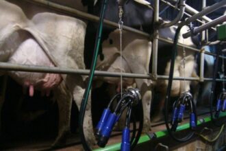 revalorisation du prix de lait