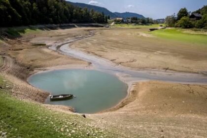 Suisse / l’élevage durement frappé par une sécheresse exceptionnelle