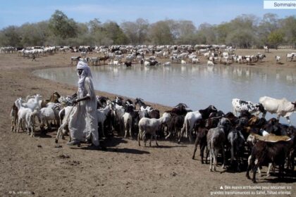 Mongolie / les éleveurs pastoraux se mobilisent pour protéger leurs terres