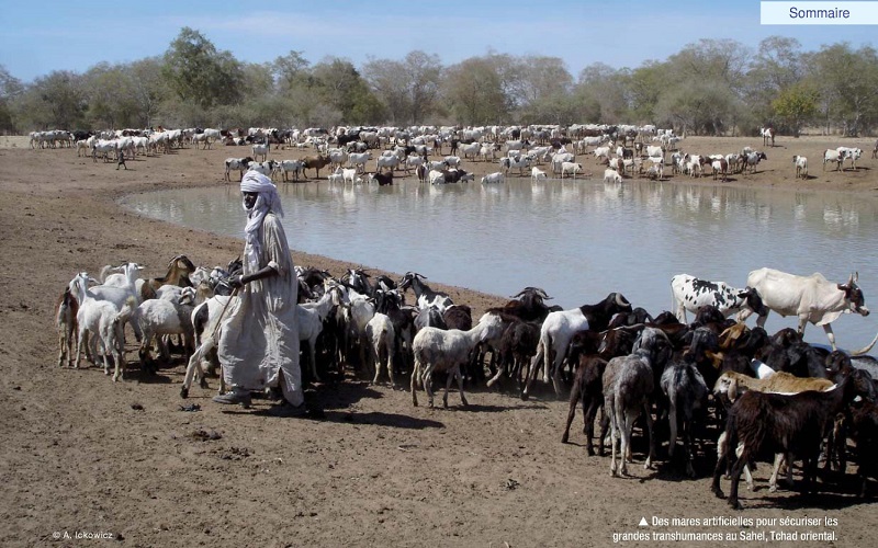 Mongolie / les éleveurs pastoraux se mobilisent pour protéger leurs terres
