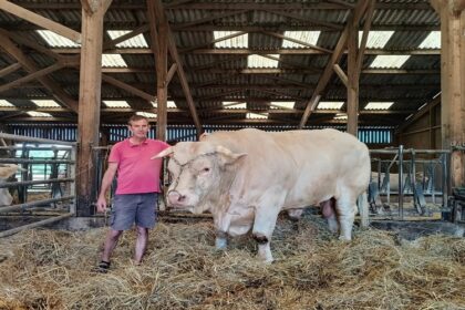 France / sécheresse et canicules mettent les élevages de l’Yonne à rude épreuve