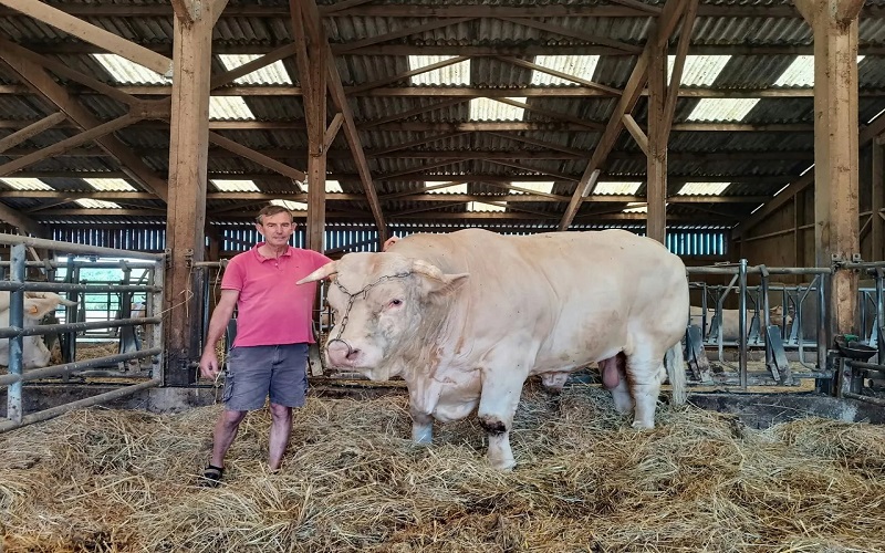 France / sécheresse et canicules mettent les élevages de l’Yonne à rude épreuve