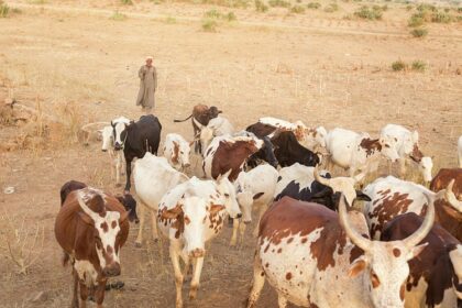 soudure pastorale Niger