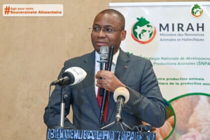 Approvisionnement des marchés à bétail