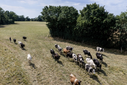 Campagne pastorale 2026-2027