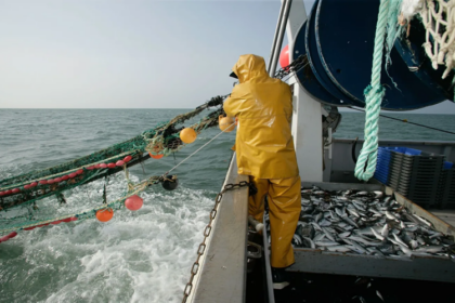 accord de l’OMC sur la pêche