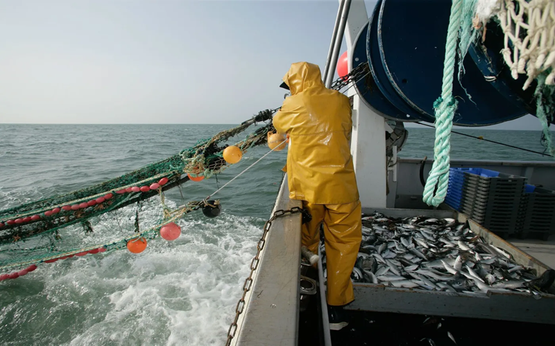 Accord international / Un an après son entrée en vigueur, l’accord de l’OMC sur la pêche reste inachevé