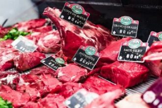 France / la sécheresse fait craindre une production de viande bovine « catastrophique »