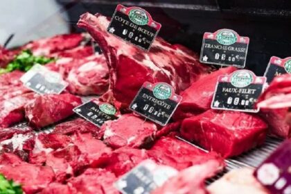 France / la sécheresse fait craindre une production de viande bovine « catastrophique »