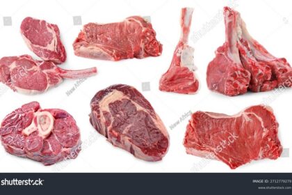 Espagne /les éleveurs renforcent la vigilance face à la viande brésilienne