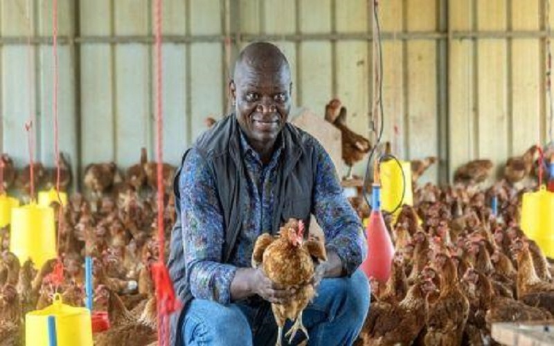 Gabon / l’interdiction des importations de poulet ouvre un front commercial avec les États-Unis