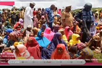 Nigeria / plus de 600 personnes réfugiées au Cameroun après des affrontements entre agriculteurs et éleveurs