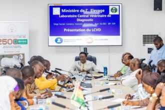 La Guinée ambitionne de placer l’expertise vétérinaire au cœur de la transformation de l’élevage