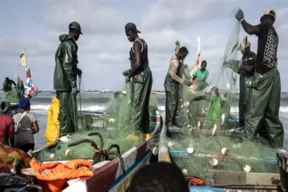 Pêche et aquaculture en Afrique