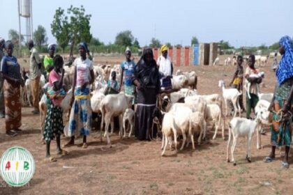 Burkina Faso / des éleveurs mobilisés pour la vaccination du cheptel