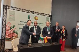 Algérie / deux accords avec l’Espagne pour renforcer la filière des viandes rouges