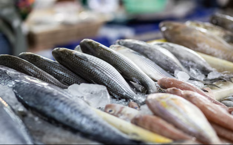 Nigeria / Les acteurs de la filière pêche interpellent les autorités sur la hausse des prix du poisson