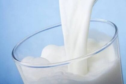 Le Zimbabwe est en passe de doubler sa production laitière commerciale et d’atteindre son objectif d’autosuffisance en lait frais