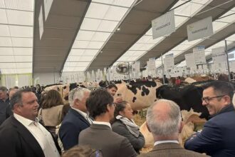 France / les élus de l’Allier à la rencontre des éleveurs au 35ᵉ Sommet de l’Élevage