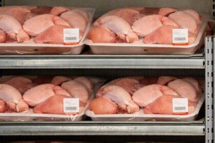 poulets contaminés au Congo